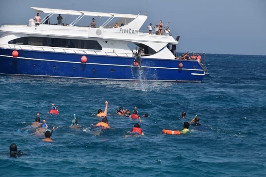 Dolphin House and Banana Boat Fun from Hurghada