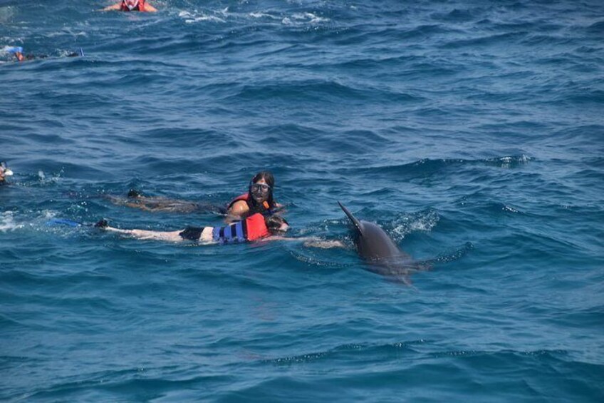 Dolphin House and Banana Boat Fun from Hurghada
