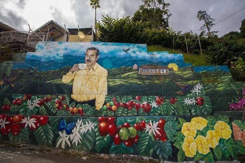 Full day coffee farm experience at Hacienda San Alberto from Salento