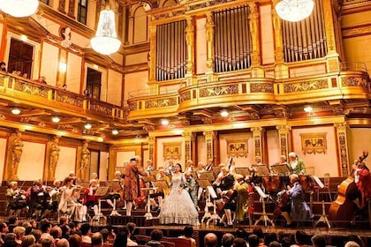 Mozartkväll i Wien: gourmetmiddag och konsert på Musikverein