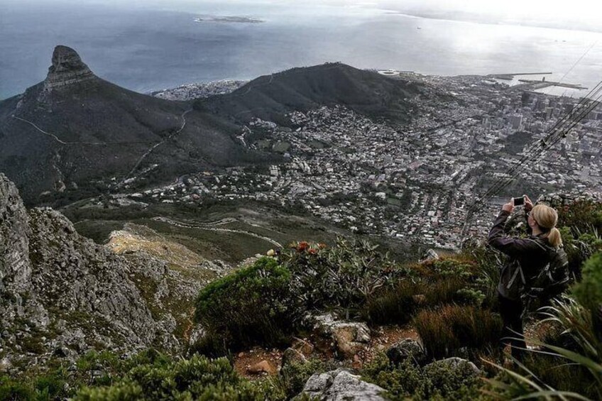 Panoramic Views of the City