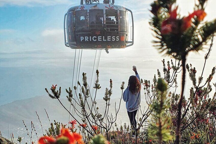 Experience the cable car ride down
