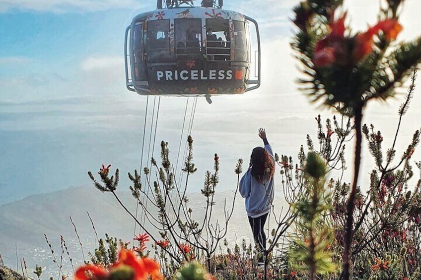 Experience the cable car ride down