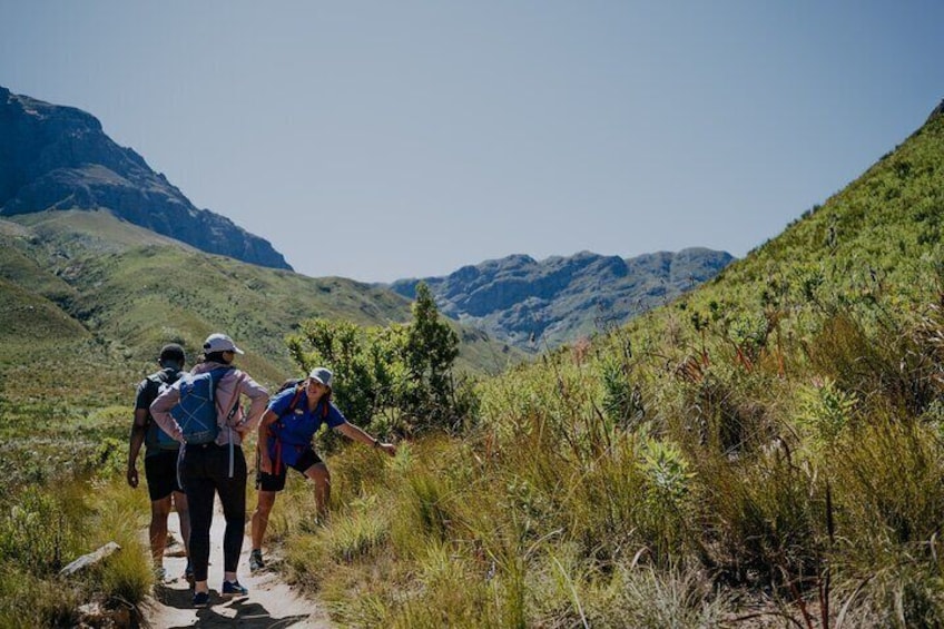 E-bike & hike Jonkershoek nature reserve Adventure, Stellenbosch