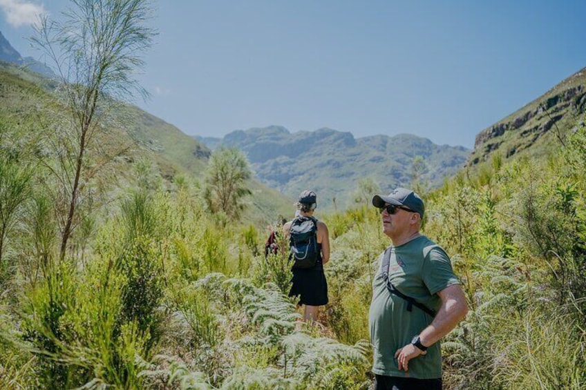 E-bike & hike Jonkershoek nature reserve Adventure, Stellenbosch