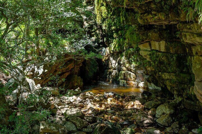 E-bike & hike Jonkershoek nature reserve Adventure, Stellenbosch