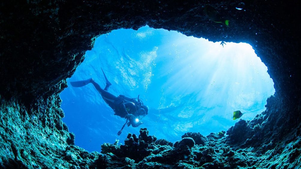 Show item 5 of 5. Okinawa Blue Cave Snorkeling Ticket