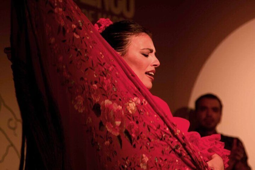 Skip the Line: Traditional Flamenco Show Ticket