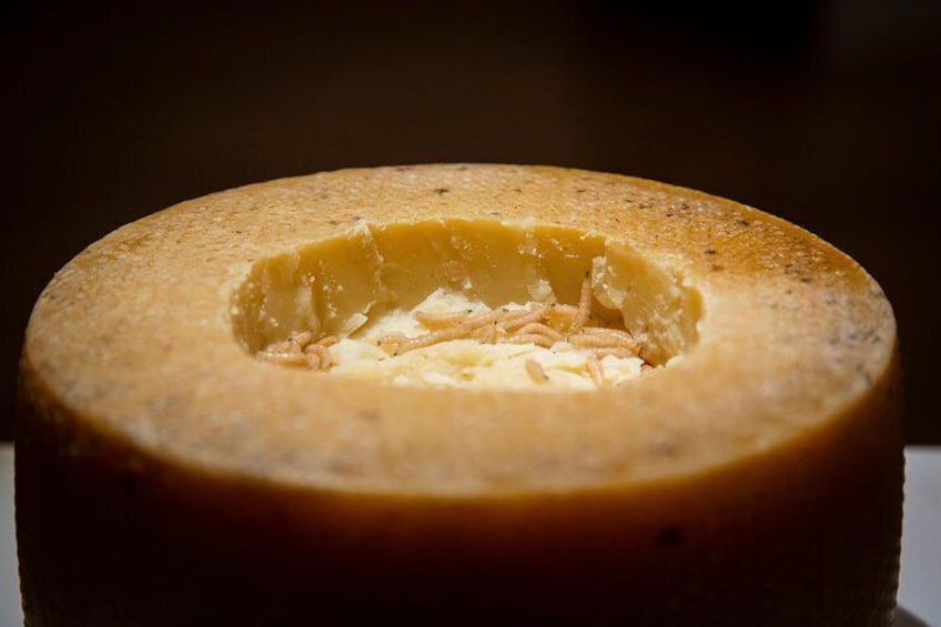 Casu Marzu, maggot cheese from Sardinia.