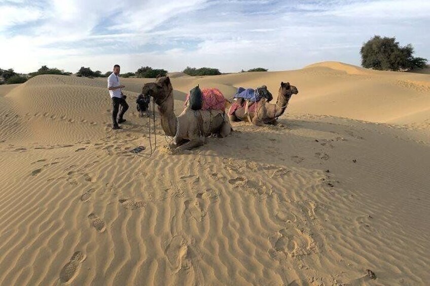 Camel Safari Day Tour in Jodhpur