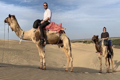 Safari d'une journée à dos de chameau dans le désert de Jodhpur