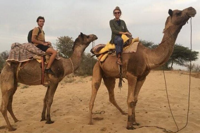 Camel Safari