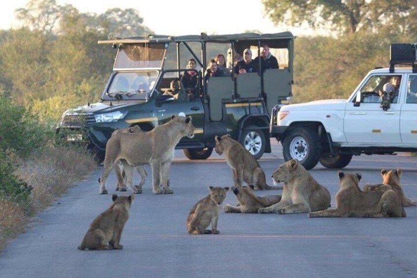 All inclusive - 3 Day Kruger Safari from Johannesburg