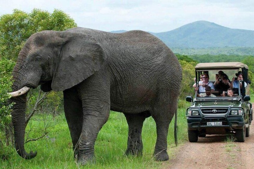 Private 3 Day Kruger Park Safari from Johannesburg