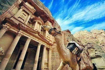 Tour nach Petra von Amman oder dem Toten Meer