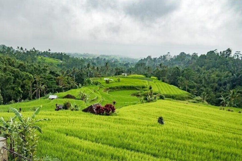 Village Above The Clouds