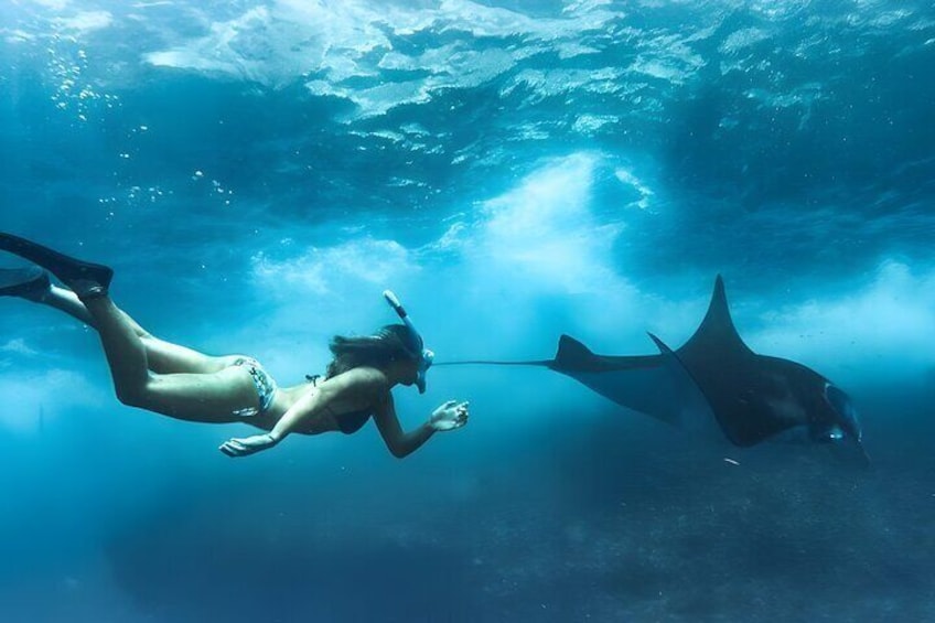 Manta Bay