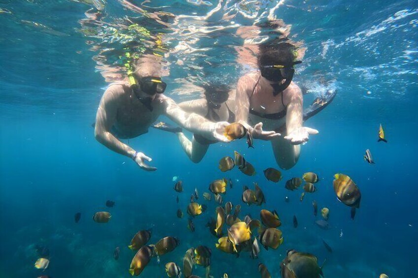 Gamat Bay