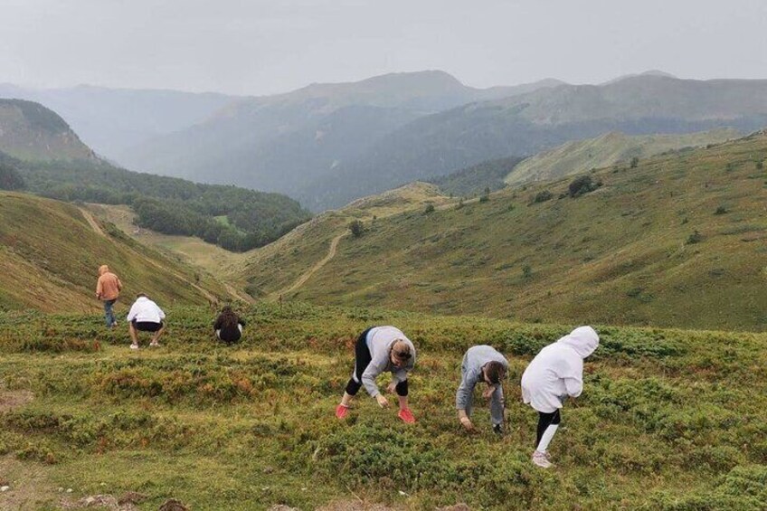 Jeep safari National park Biogradska gora