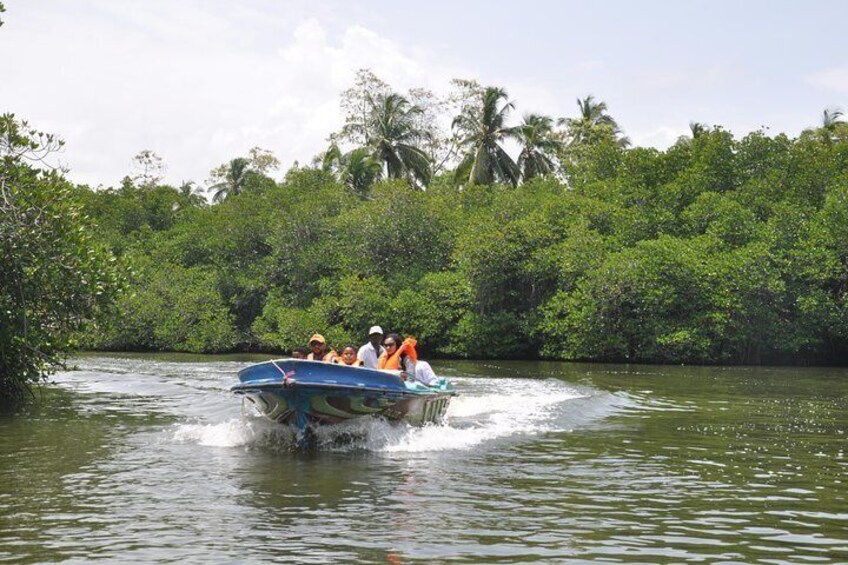 Madu River Boat Safari