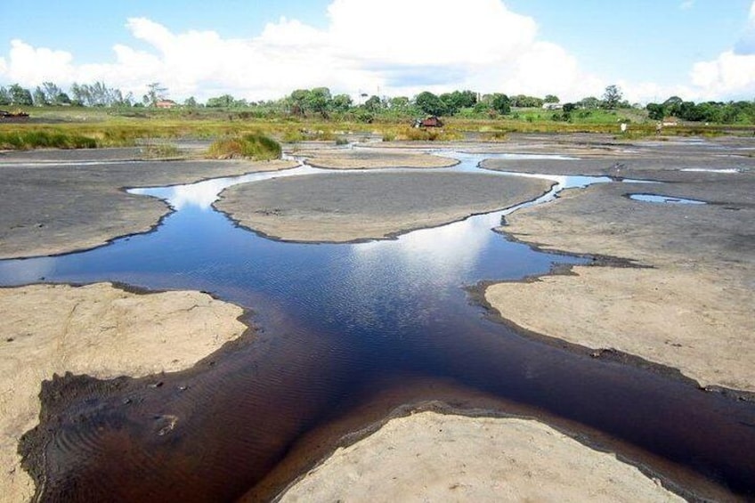 Pitch Lake Trinidad #1