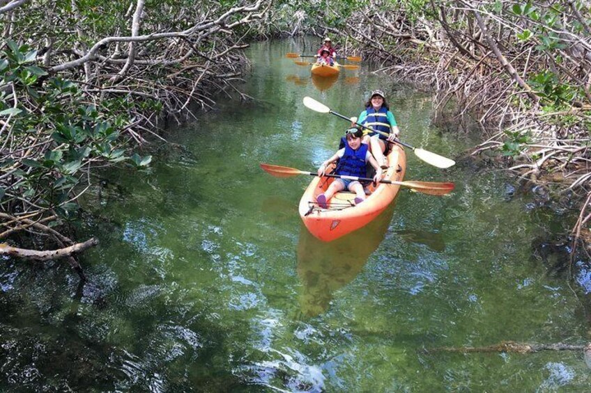 Explore the Mangrove Creeks with an All Day Tandem Kayak Rental