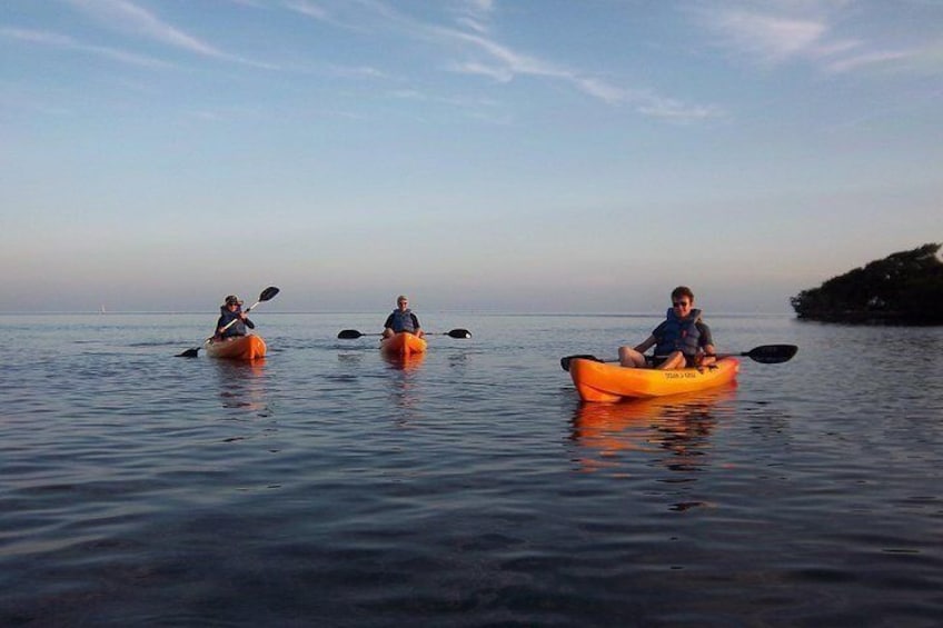 Explore the Mangrove Creeks with an All Day Tandem Kayak Rental