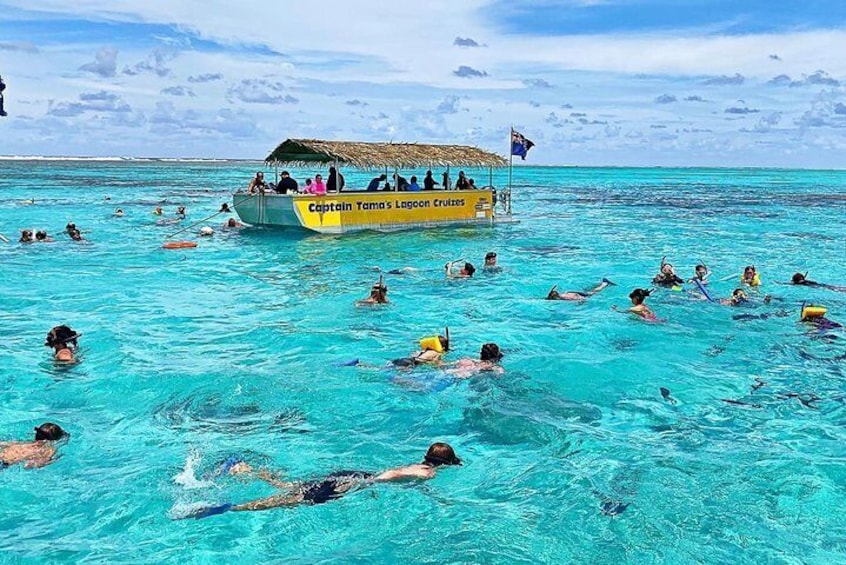 Snorkelling from the glass bottom boat