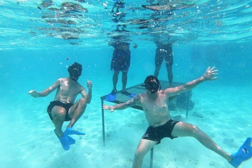 Snorkelling