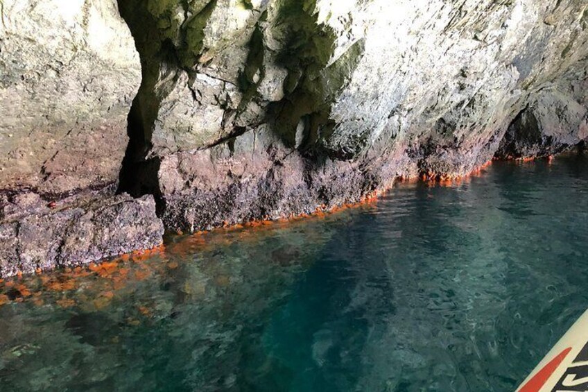 Inside the Pandora Grotto 