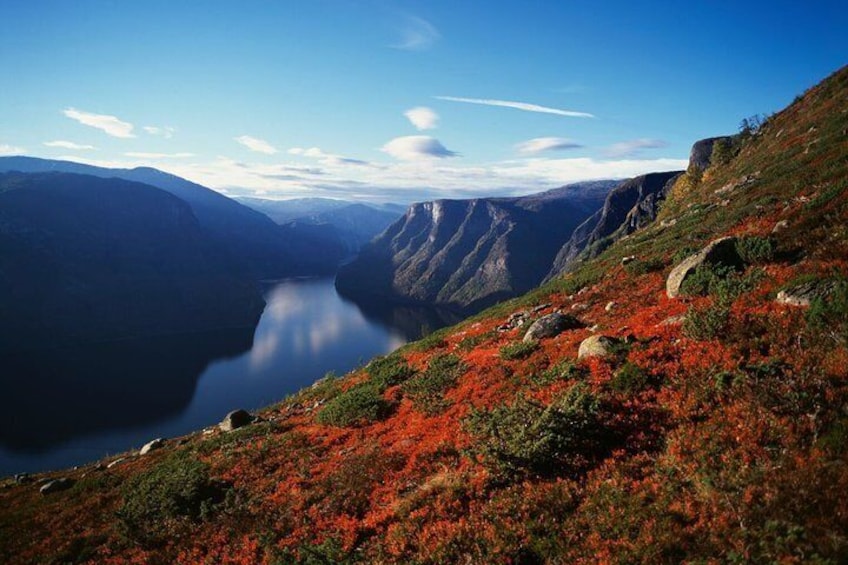 Autom by the Aurlandsfjord-Frithjof Fure - VisitNorway.com