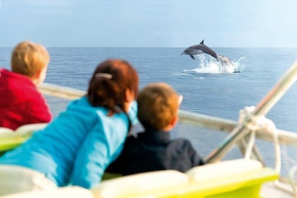 Segeltur i soluppgången på Mallorca med delfinskådning