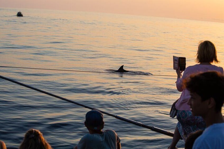 Sunrise Boat Trip in Mallorca with Dolphin-Watching