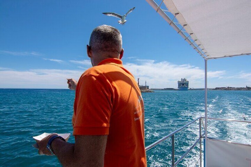 Palma de Mallorca Bay Boat Trip