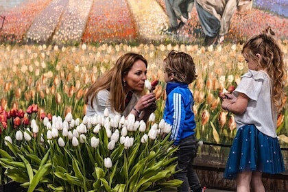 Sightseeing-Tour zum Keukenhof Tulpenfelder und Giethoorn von Amsterdam