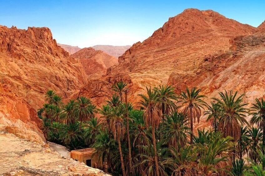 Zagora Desert - 2 Days