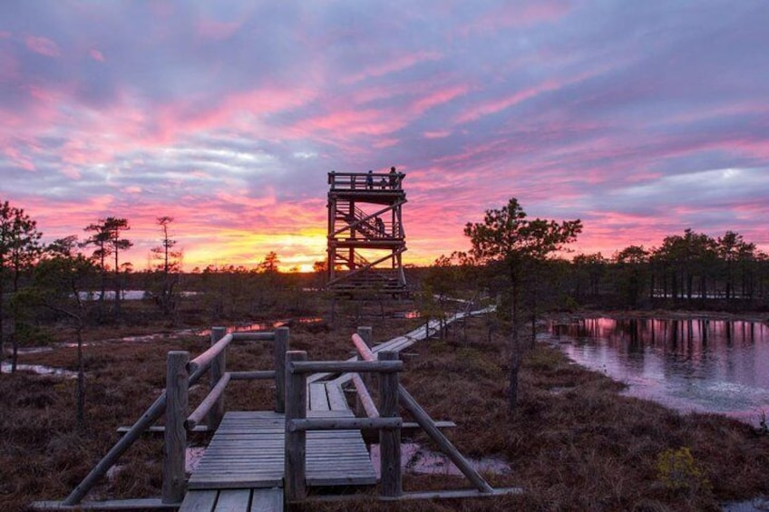 Kemeri Bog Boardwalk