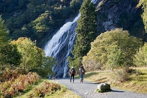 Powerscourt Waterfall Admission Ticket