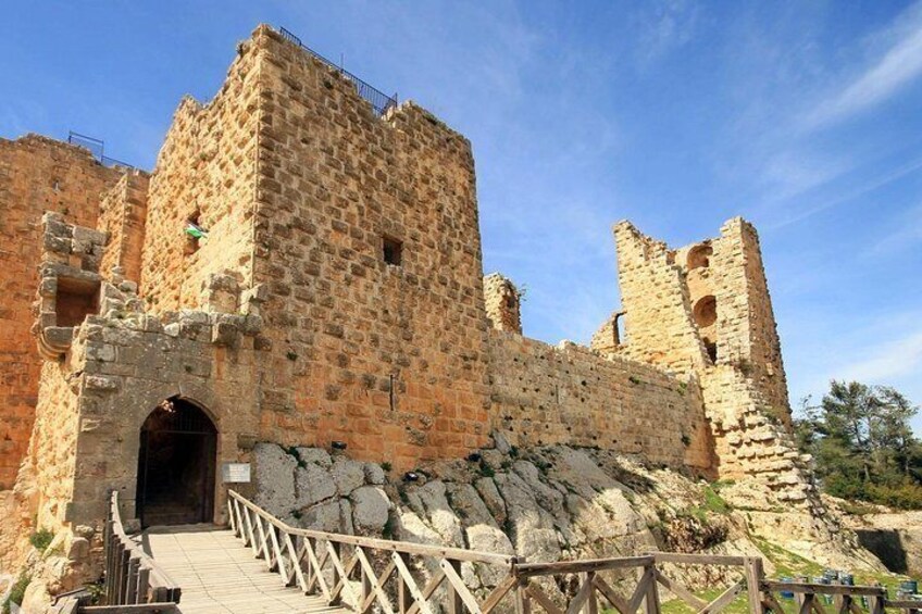 Jerash, Ajloun, and Umm Quais Full-Day Tour