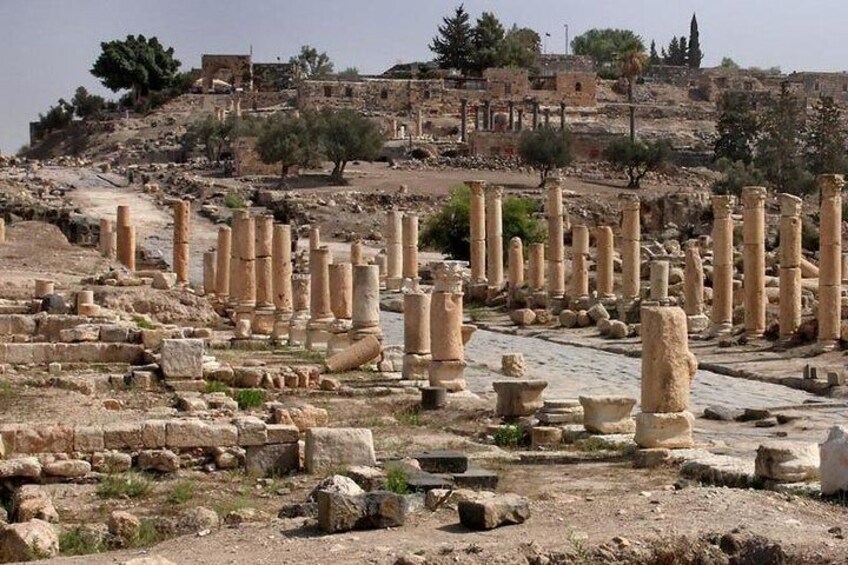 Jerash, Ajloun, and Umm Quais Full-Day Tour