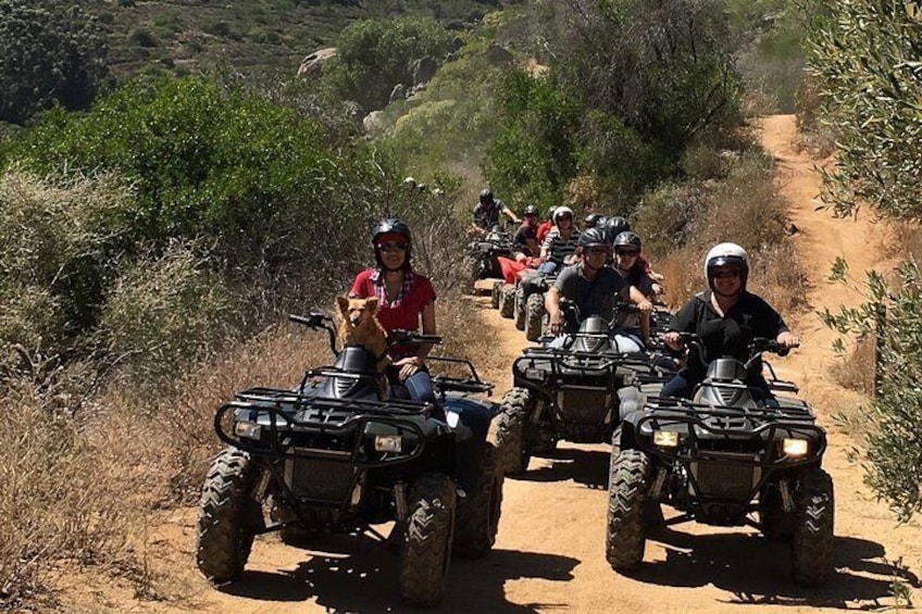 2 Hour Nature Quad Bike Trail