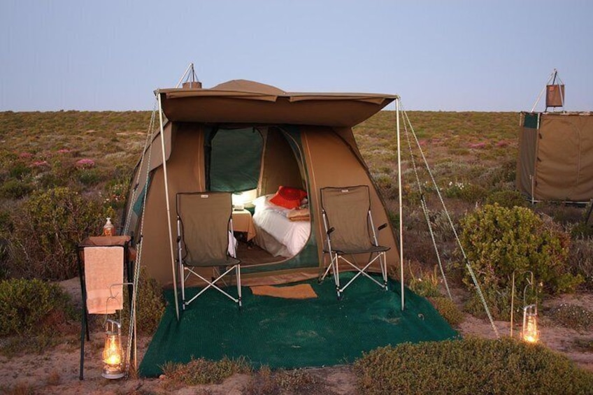 Guided 3 Day Kruger Park Safari - Camping