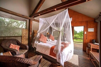 3 Day Luxury Tented Kruger Safari from Johannesburg