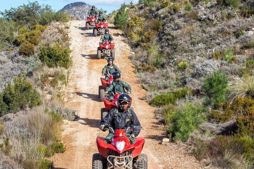 Quad Bike (ATV) Adventure