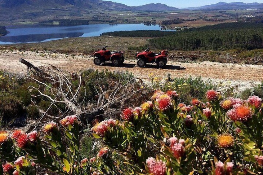 Quad Bike (ATV) Adventure