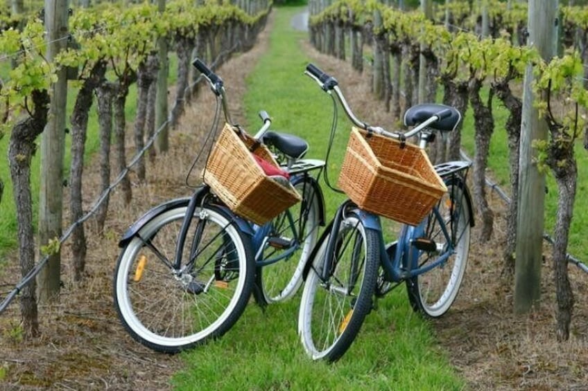 Bike With Us Today!