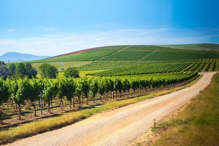 One of the many wineries we visit