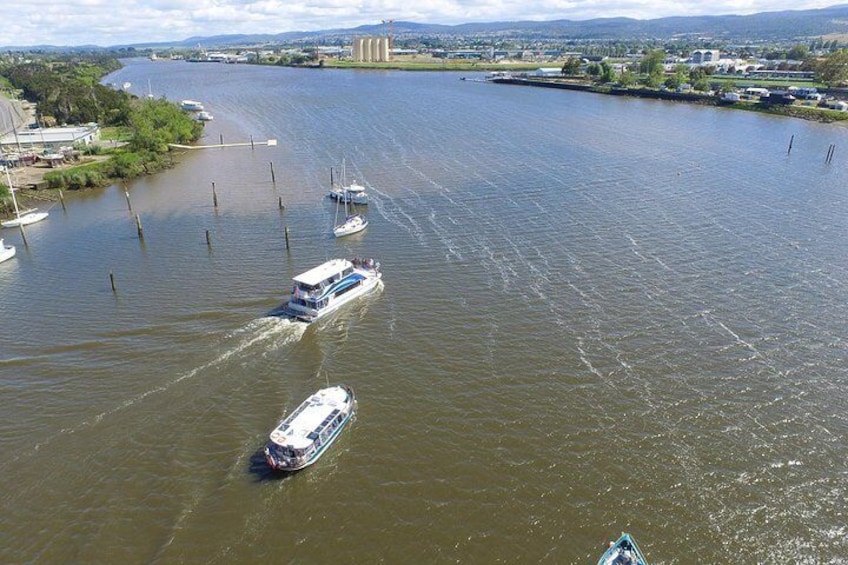 2.5 hour Afternoon Discovery Cruise including Cataract Gorge departs at 1: 30 pm