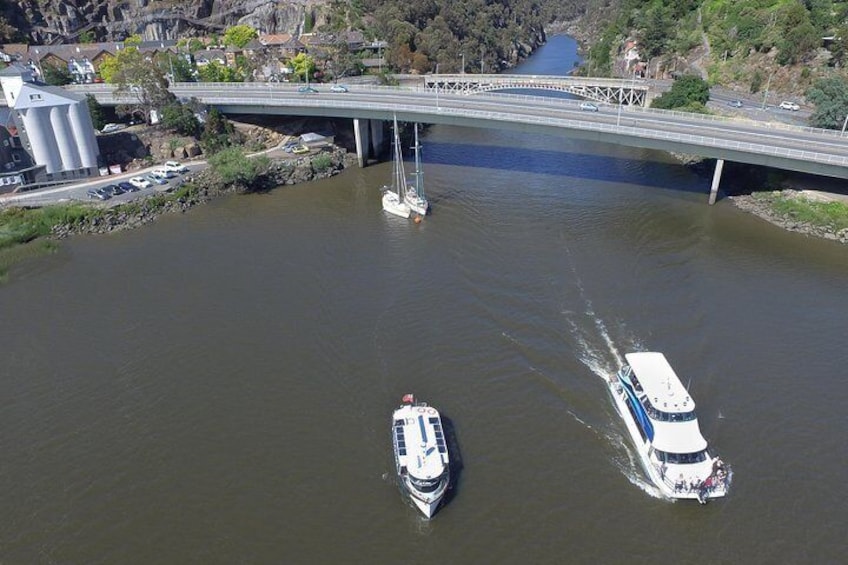 2.5 Hour Morning Discovery Cruise including sailing into the Cataract Gorge