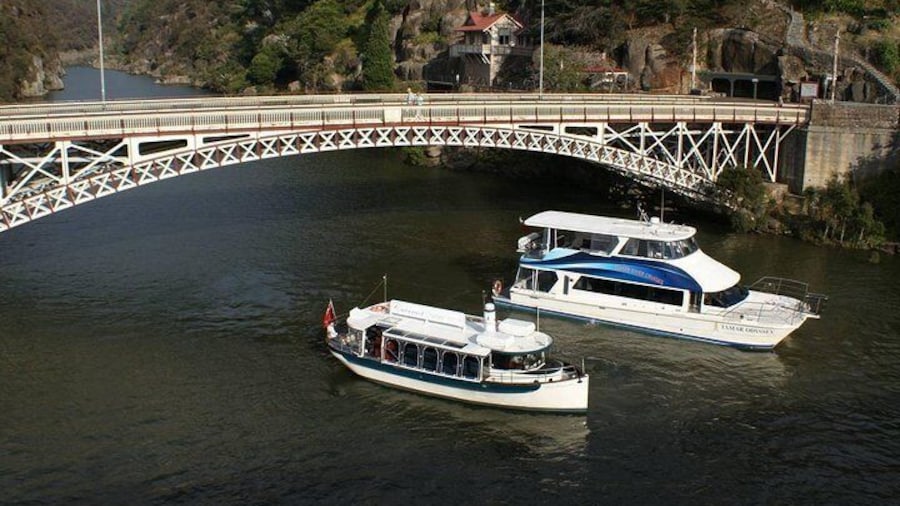 Cataract Gorge Cruise 1:30 pm